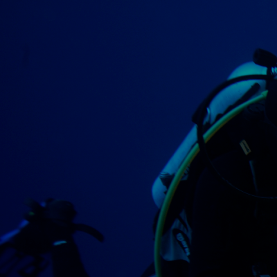 Buceo Científico