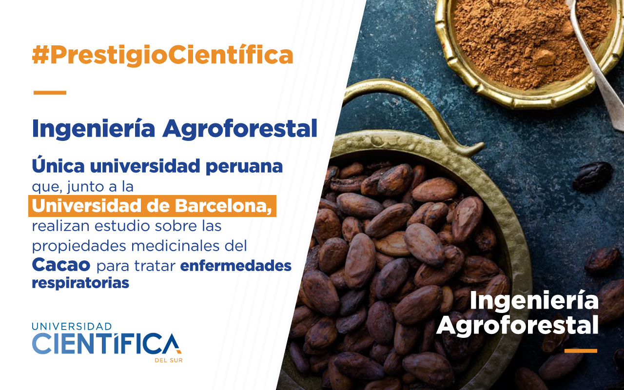 Científica, es la única universidad peruana que, junto a la Universidad de Barcelona, realizan estudio sobre las propiedades medicinales del Cacao para tratar enfermedades respiratorias