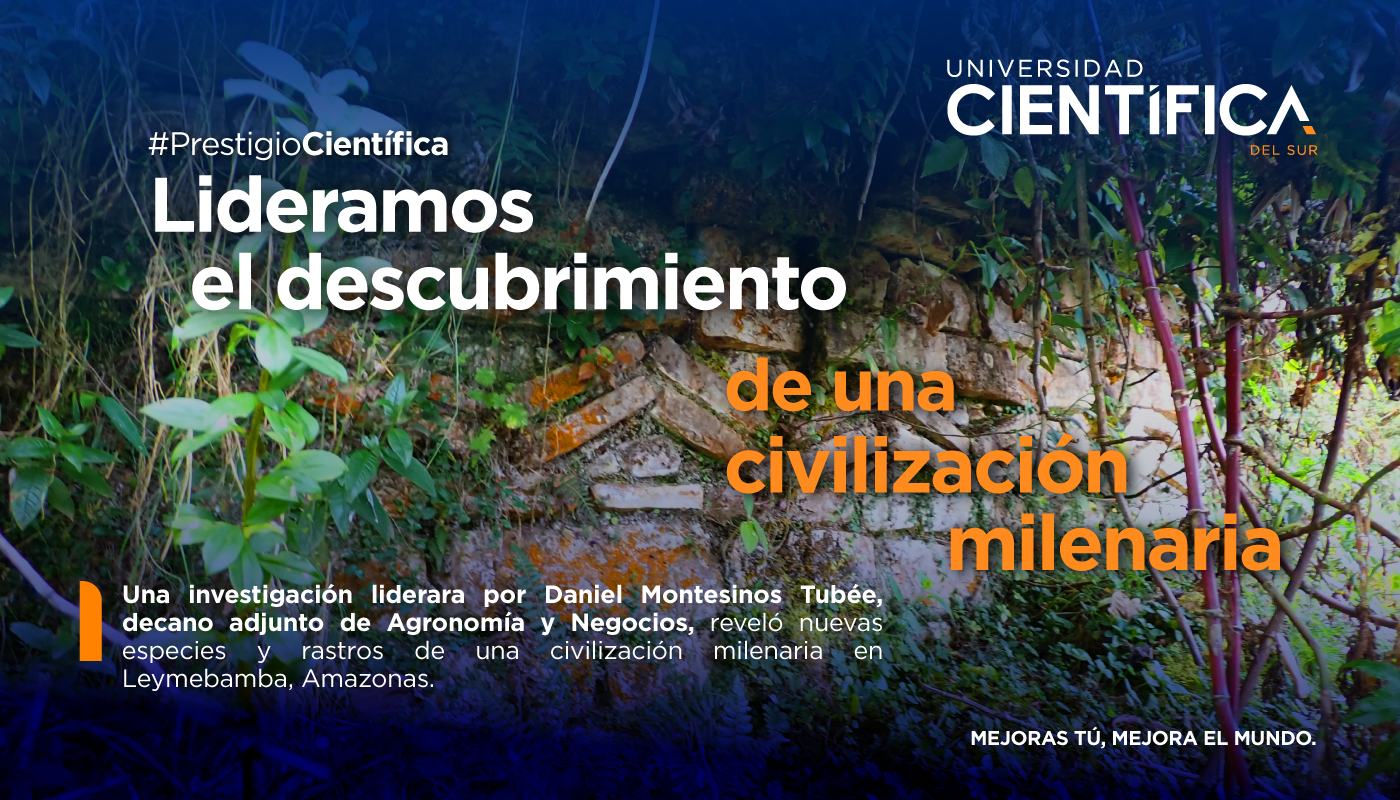 Investigación | Universidad Científica del Sur