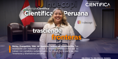 Investigación | Universidad Científica del Sur