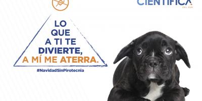 Cómo evitar el estrés de nuestras mascotas en estas fiestas de fin de año