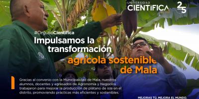 Carrera de Agronomía y Negocios | Universidad Científica del Sur