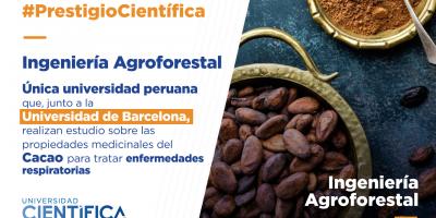 Científica, es la única universidad peruana que, junto a la Universidad de Barcelona, realizan estudio sobre las propiedades medicinales del Cacao para tratar enfermedades respiratorias