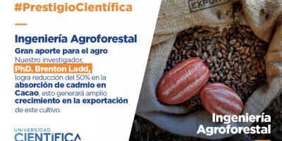 Gran aporte para el agro: Docente logra resultados positivos sobre la reducción del cadmio en el cacao